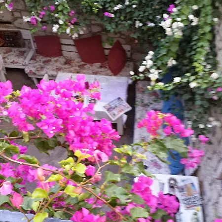 Bedirhan 3* אלאקאטי